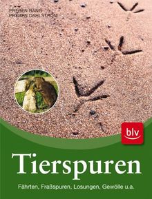 Tierspuren: Fährten · Fraßspuren · Losungen · Gewölle und andere