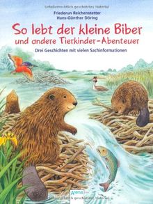 So lebt der kleine Biber und andere Tierkinder-Abenteuer: Drei Geschichten mit vielen Sachinformationen