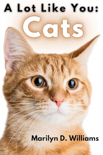 Oelder Buchhandlung – Lange Str, 59302 Oelde