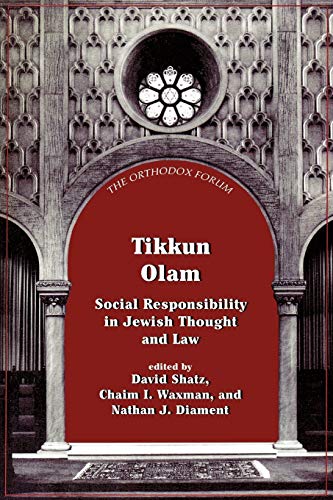 Tikkun Olam: Social Responsibility in Jewish Thought and Law (The Orthodox Forum Series)