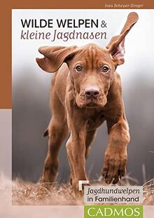Wilde Welpen & kleine Jagdnasen: Jagdhundwelpen in Familienhand