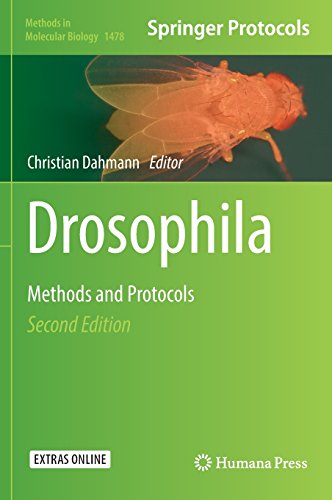 Drosophila: Methods and Protocols (Methods in Molecular Biology)
