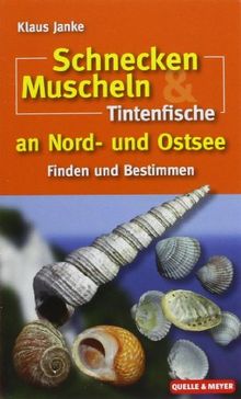 Schnecken, Muscheln & Tintenfische an Nord- und Ostsee: Finden und Bestimmen