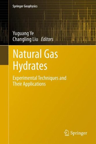 Natural Gas Hydrates: Experimental Techniques and Their Applications (Springer Geophysics)