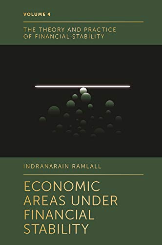 Economic Areas Under Financial Stability (Theory and Practice of Financial Stability, 4, Band 4)