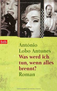 Was werd ich tun, wenn alles brennt?: Roman