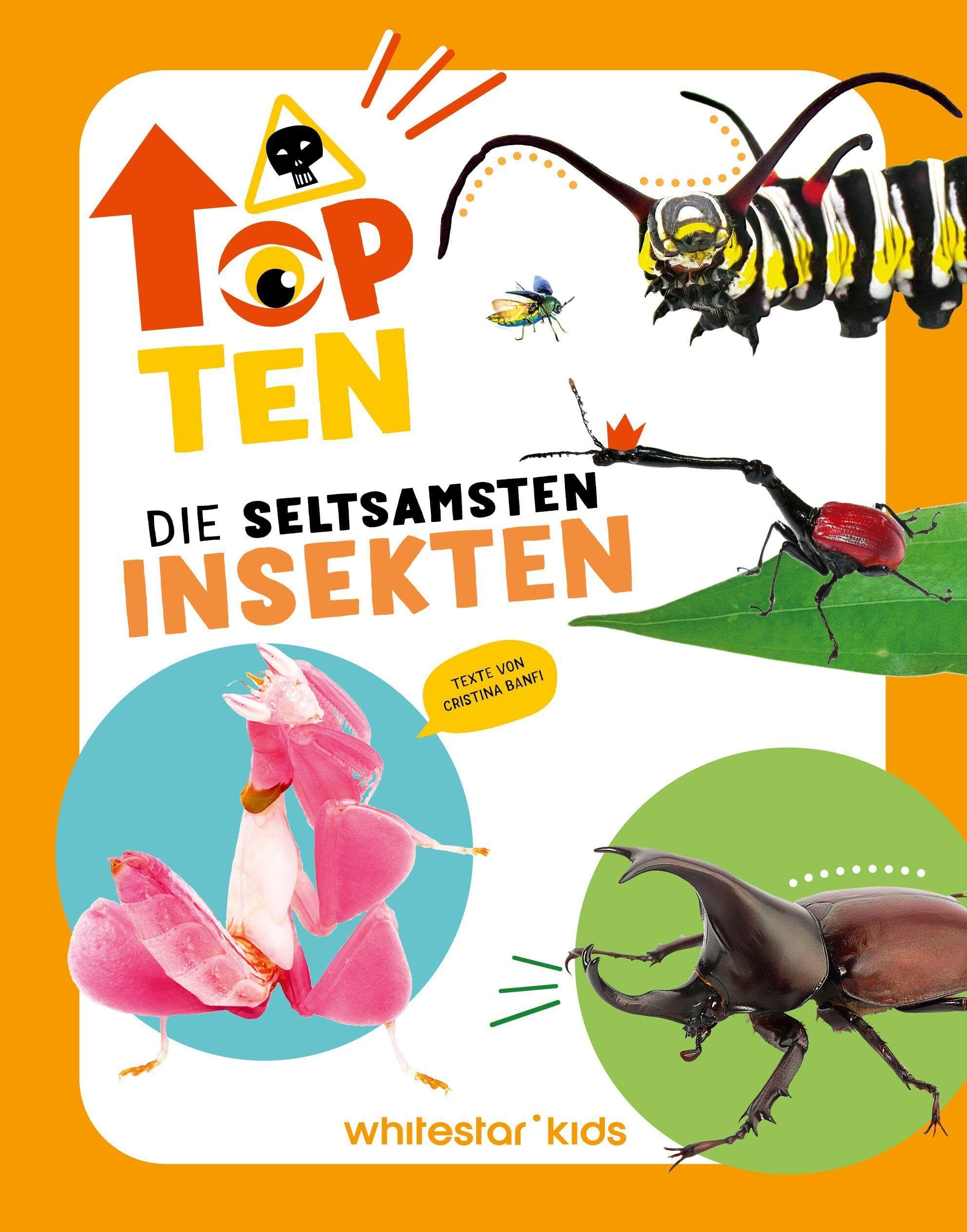 Top Ten die seltsamsten Insekten