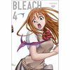 Bleach - Vol. 4, Episoden 13-16