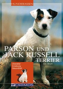 Parson und Jack Russell Terrier: Charakter Erziehung Gesundheit