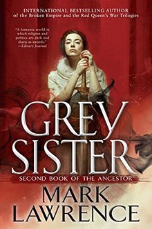 Grey Sister (Book of the Ancestor, Band 2)