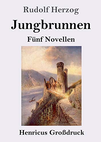 Jungbrunnen (Großdruck): Fünf Novellen