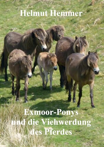 Exmoor-Ponys und die Viehwerdung des Pferdes