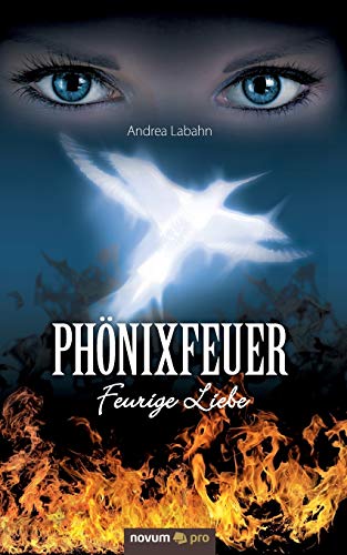 Phönixfeuer - Andrea Labahn Kartoniert (TB)