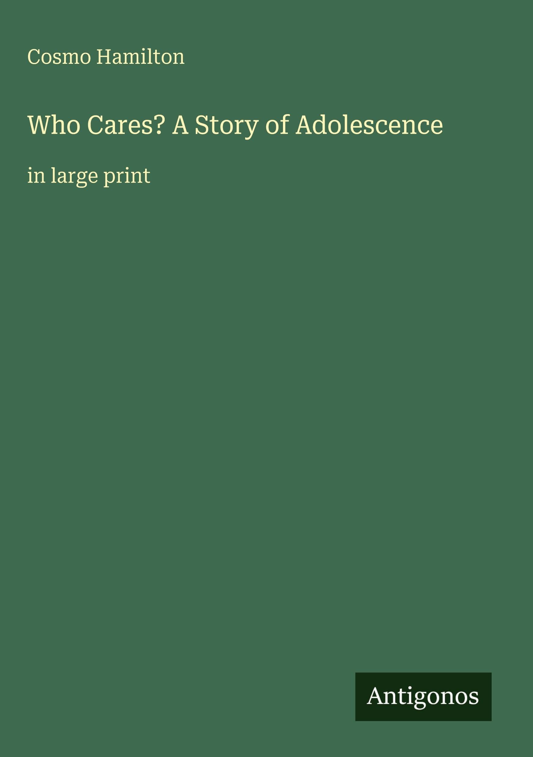 Who Cares? A Story of Adolescence: in large print