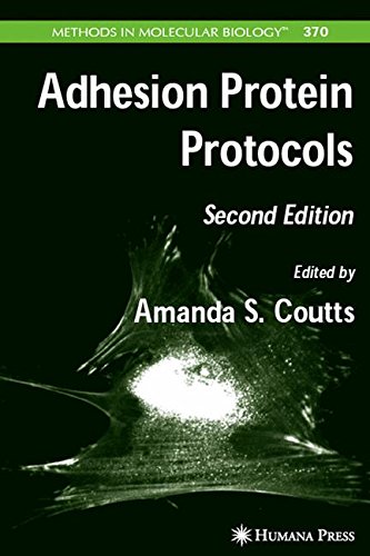 Adhesion Protein Protocols (Methods in Molecular Biology, Band 370)
