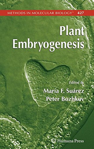 Plant Embryogenesis (Methods in Molecular Biology)
