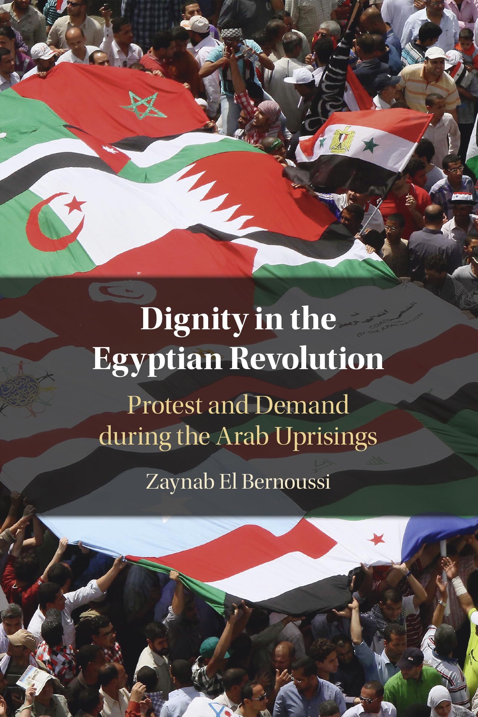 Dignity in the Egyptian Revolution: Protest and Demand During the Arab Uprisings