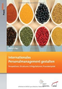 Internationales Personalmanagement gestalten: Perspektiven, Strukturen, Erfolgsfaktoren, Praxisbeispiele