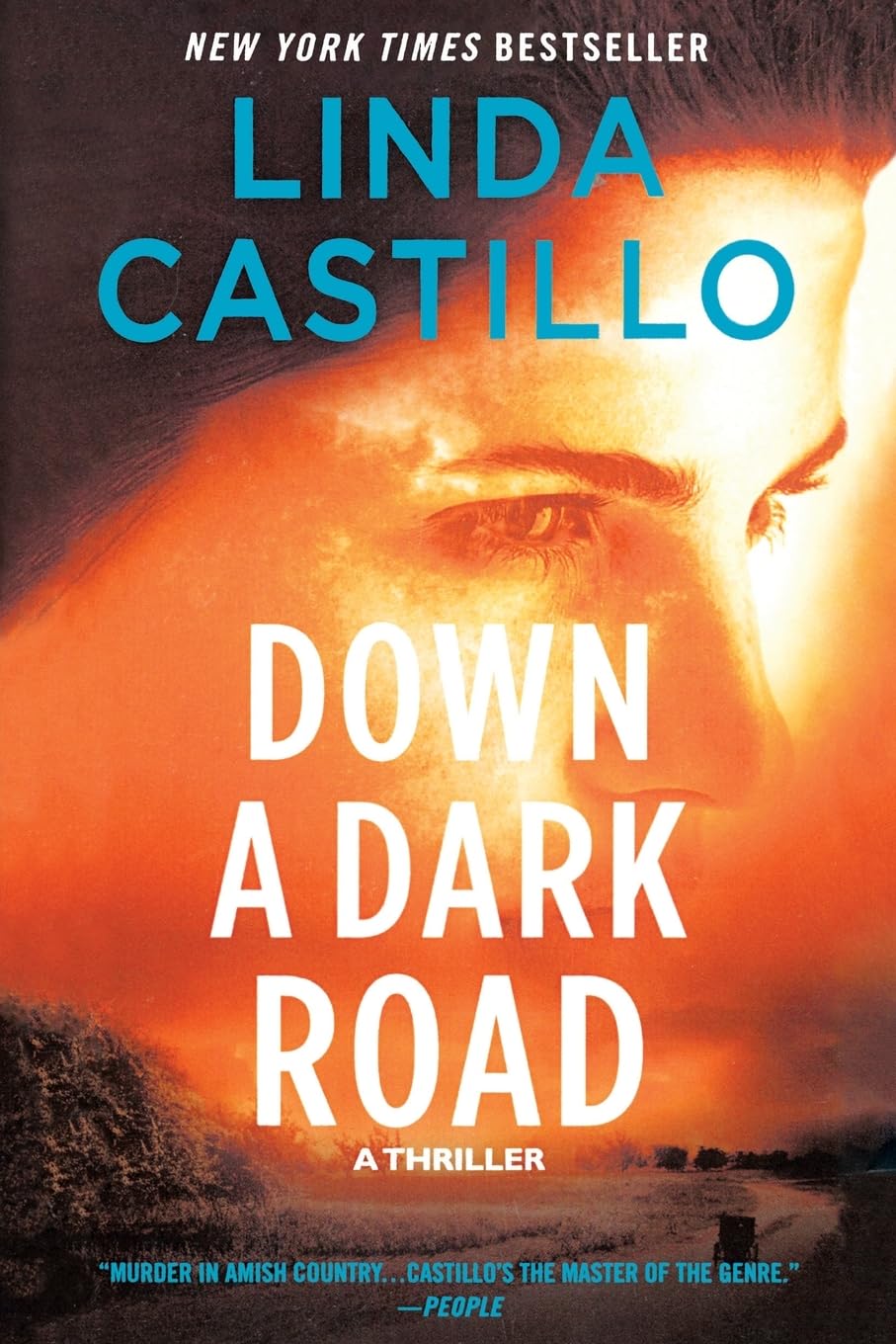 Down a Dark Road: A Kate Burkholder Novel