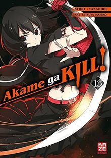 Akame ga KILL! 13