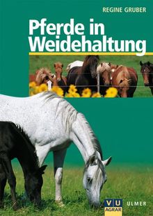 Pferde in Weidehaltung