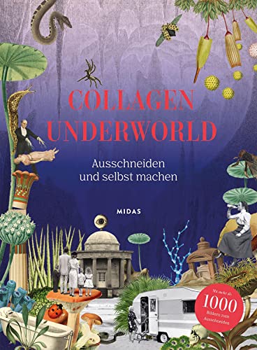 Collagen Underworld - Eliza Scott Kartoniert (TB)