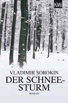 Der Schneesturm: Roman