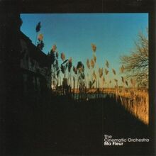 Ma Fleur (Deluxe 2lp+Mp3) [Vinyl LP]