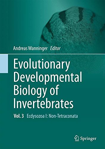 Evolutionary Developmental Biology of Invertebrates 3: Ecdysozoa I: Non-Tetraconata