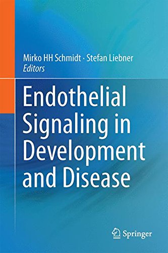 Endothelial Signaling in Development and Disease