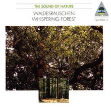 Natural Sound - Digitale Hörbilder - Waldesrauschen