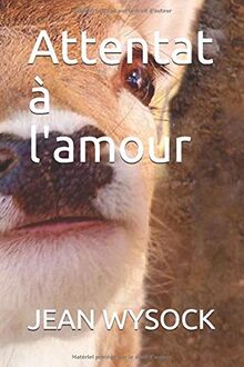Attentat à l'amour