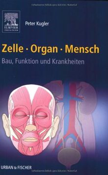 Zelle Organ Mensch: Bau, Funktion und Krankheiten