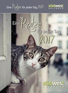 Eine Katze für jeden Tag 2017 ABK