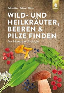 Wild- und Heilkräuter, Beeren und Pilze finden: Der Blitzkurs für Einsteiger