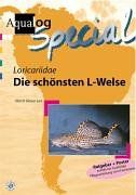 Aqualog, Die schönsten L-Welse