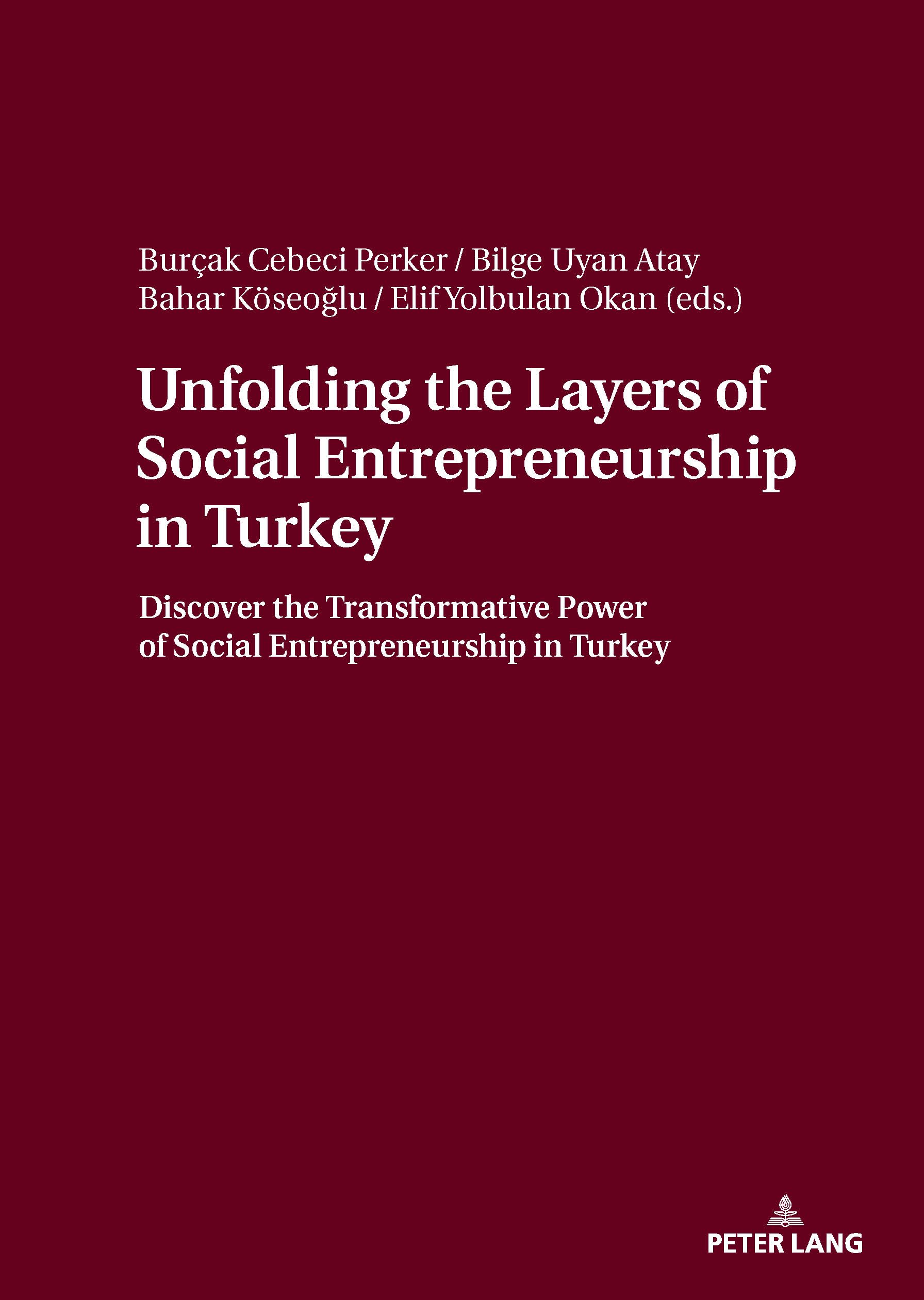 Unfolding the Layers of Social Entrepreneurship in Turkey: Discover the Transformative Power of Social Entrepreneurship in Turkey