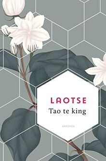 Tao te king (Weisheit der Welt, Band 9)