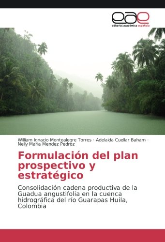 Formulación del plan prospectivo y estratégico: Consolidación cadena productiva de la Guadua angustifolia en la cuenca hidrográfica del río Guarapas Huila, Colombia