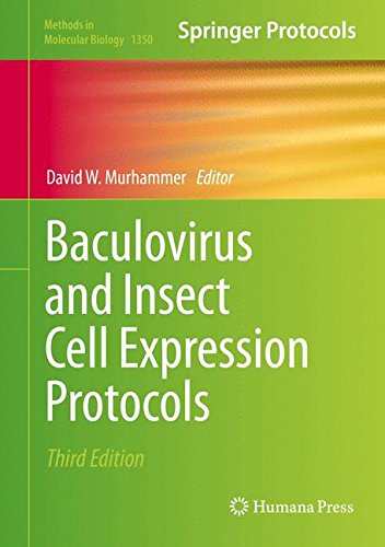 Baculovirus and Insect Cell Expression Protocols (Methods in Molecular Biology)