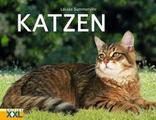 Katzen