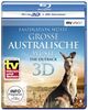 Faszination Wüste - Große Australische Wüste: The Outback (SKY VISION) [3D Blu-ray + 2D Version]
