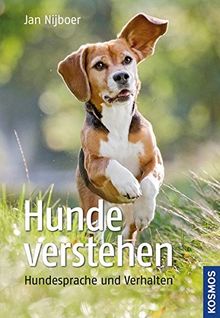 Hunde verstehen: Hundesprache und Verhalten