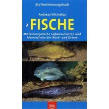 Fische: Mitteleuropäische Süßwasserarten und Meeresfische der Nord- und Ostsee