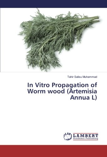 In Vitro Propagation of Worm wood (Artemisia Annua L)