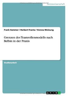 Grenzen des Teamrollenmodells nach Belbin in der Praxis