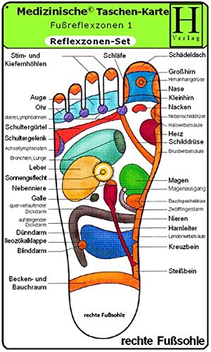 Reflexzonen Set - Medizinische Taschen-Karte: Fussreflexzonen Therapie Fusssohle, Fussrücken + Aussenseiten /Handreflexzonen Therapie