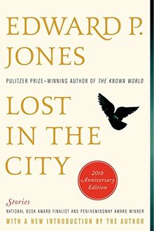 Lost in the City - 20th anniversary edition: Stories