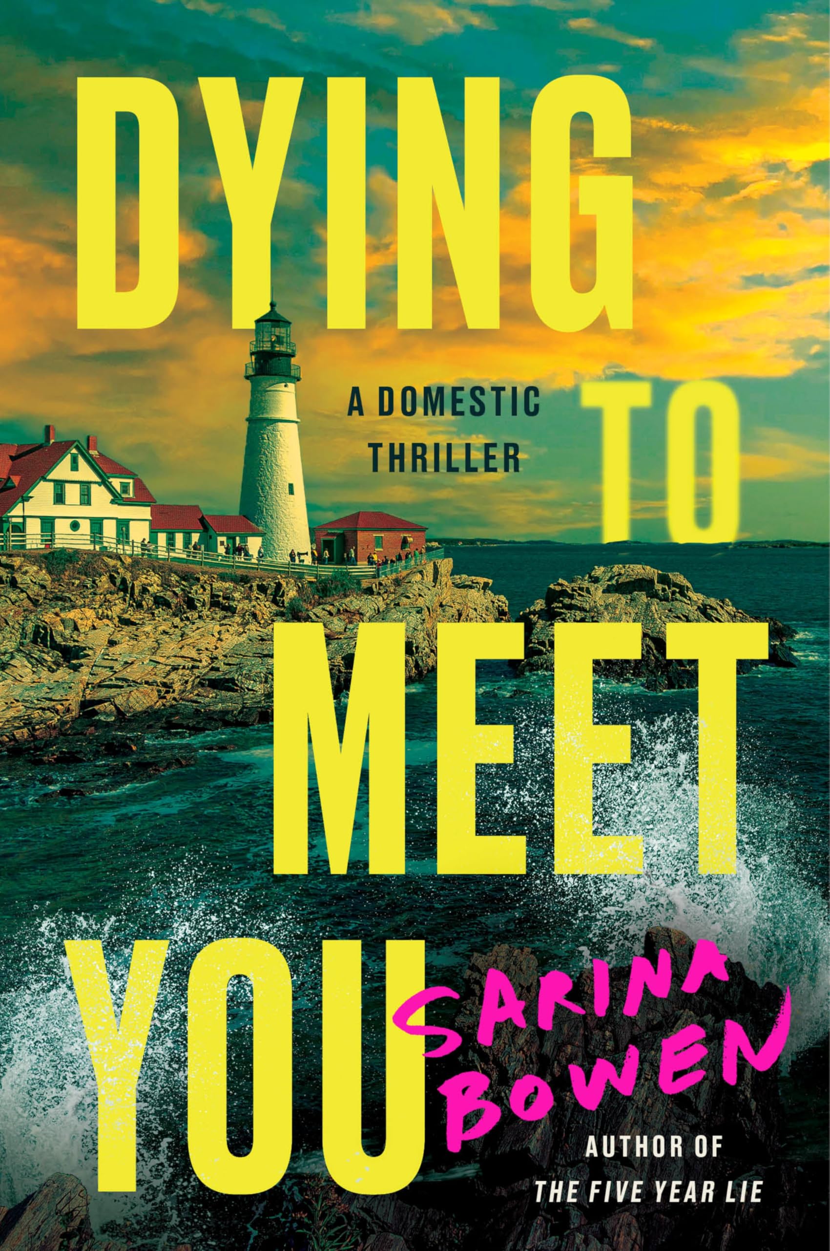 Sarina Bowen Dying To Meet You, A Domestic Thriller