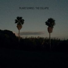 The Collapse von Pajaro Sunrise | CD | Zustand sehr gut